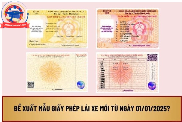 phôi bằng lái xe mới 2025