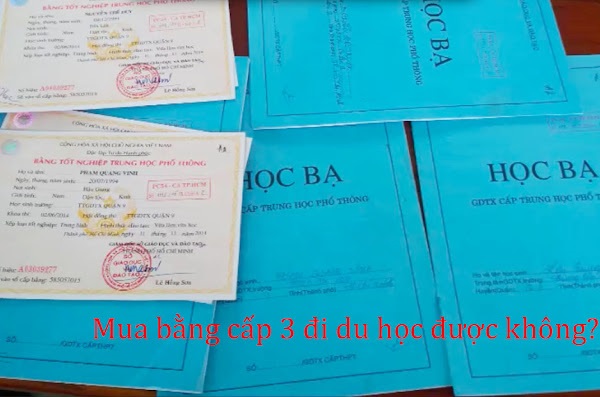 Mua bằng cấp 3 đi du học được không