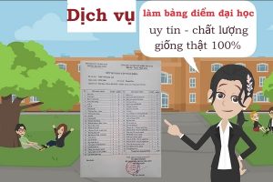 làm bảng điểm đại học uy tín