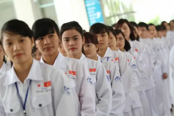 Xuất khẩu lao động cần bằng cấp 3