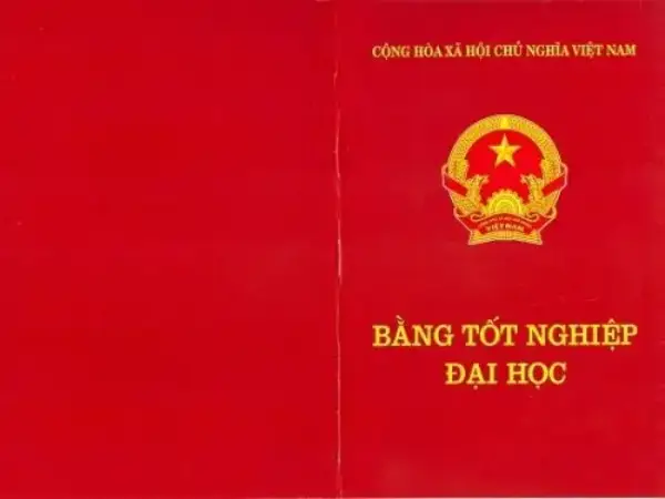 mất bằng đại học có xin cấp lại được không